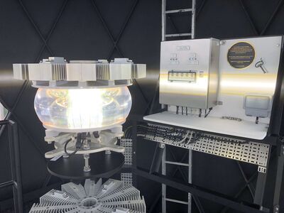 Lynmouth Foreland IMG_0435.JPG